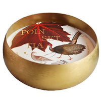 Rewined Poinsettia Candle in Gold Bowl - 14oz