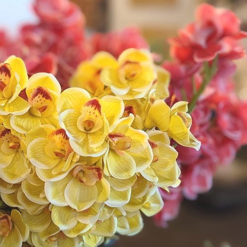 Flowers & Fruit