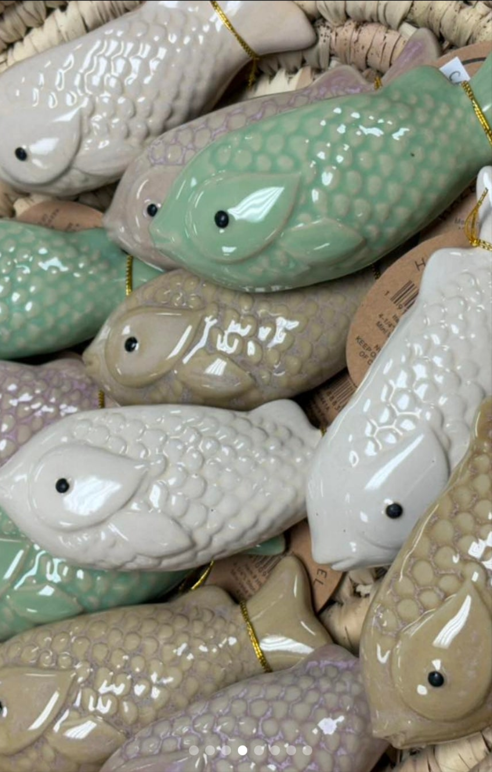 Magnetic Fish Vase