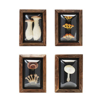 Wood Framed Faux Mushroom Shadow Box