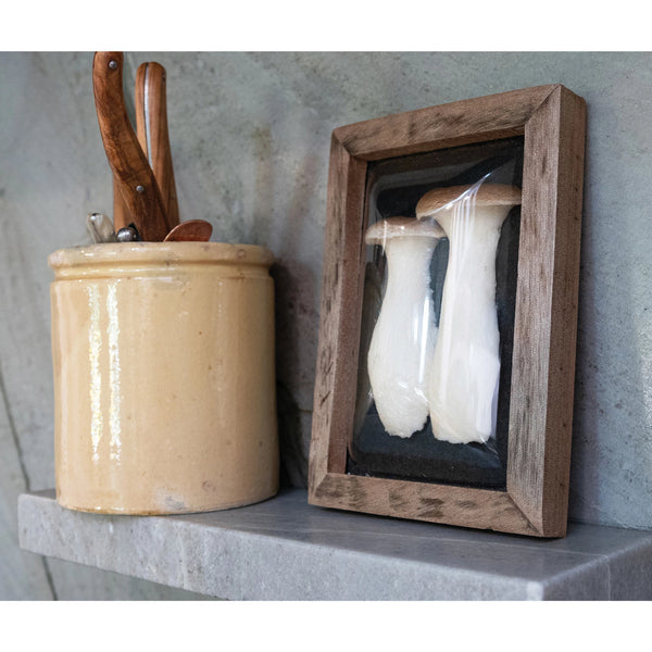 Wood Framed Faux Mushroom Shadow Box