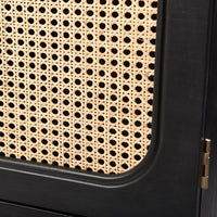 Two Door TV Console